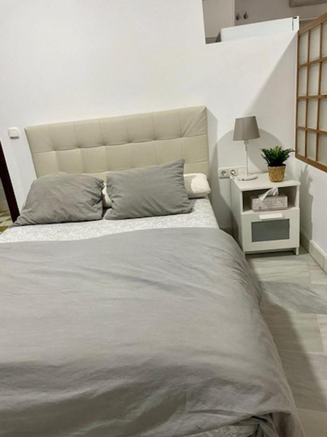 Holidays2Malaga Jinetes Junto Casco Historico & Parking Apartman Kültér fotó
